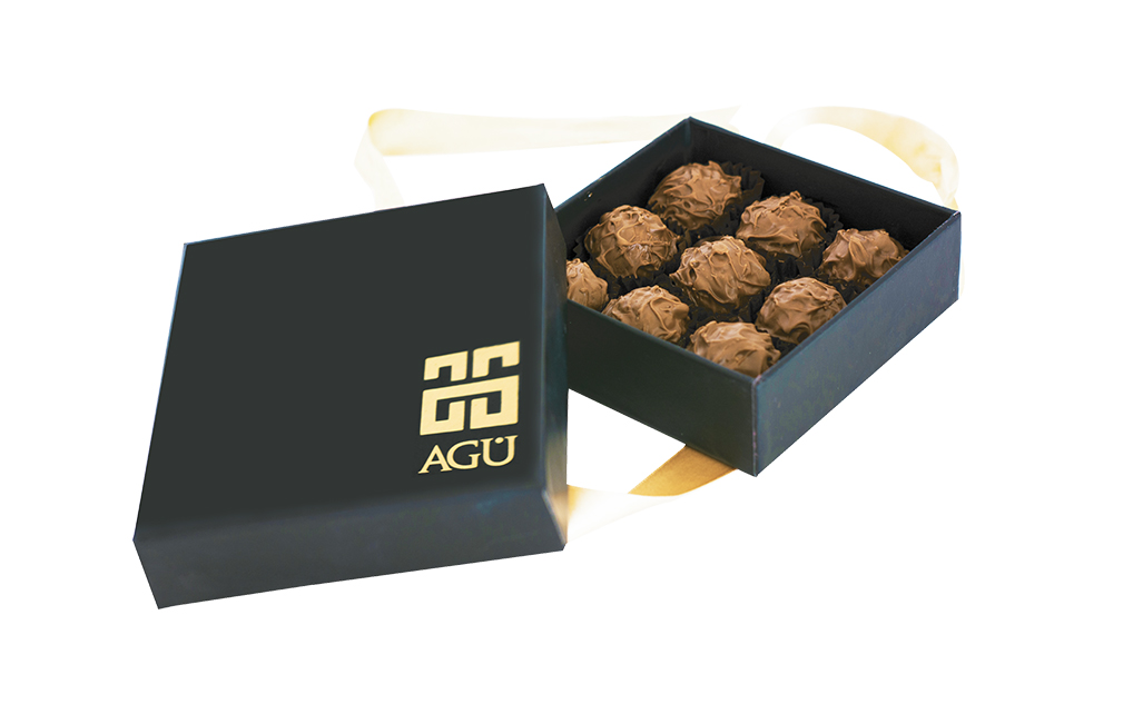 AGÜ (KK-101)